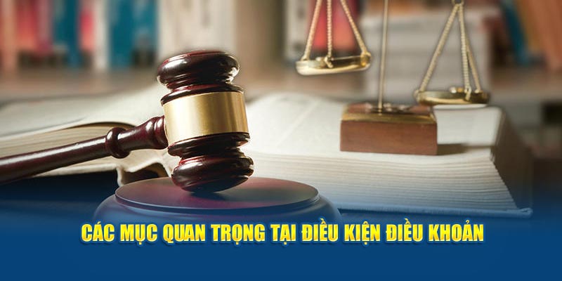 Các mục quan trọng tại điều kiện điều khoản 