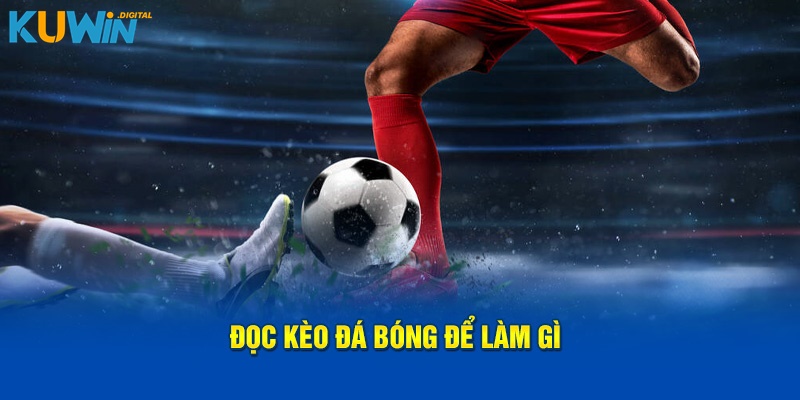 Đọc kèo bóng đá để làm gì