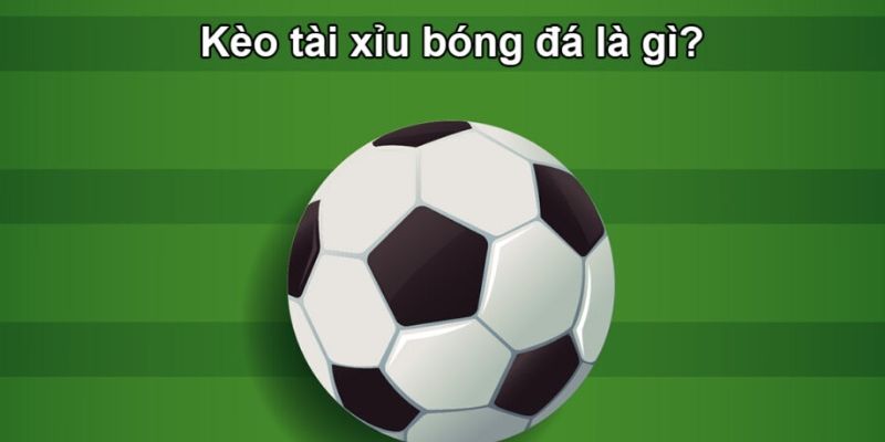 Sơ lược về kèo tài xỉu trong bóng đá mà bạn nên biết