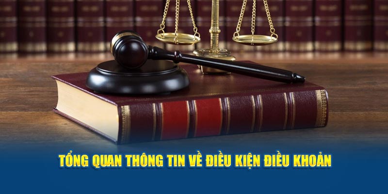 Tổng quan thông tin về điều kiện điều khoản