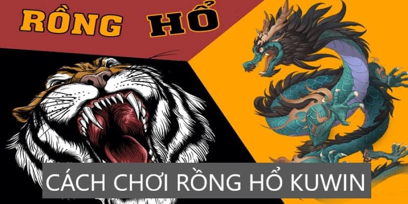 Hướng dẫn chơi Rồng Hổ Online tiết kiệm thời gian, công sức